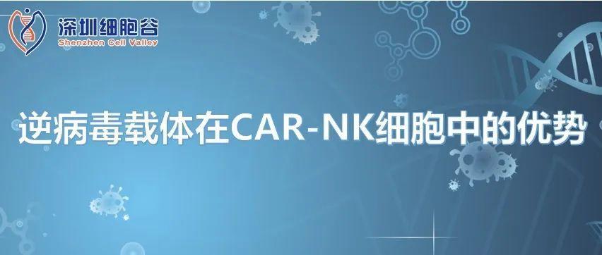 Ưu điểm của vector virus ngược trong tế bào CAR-NK