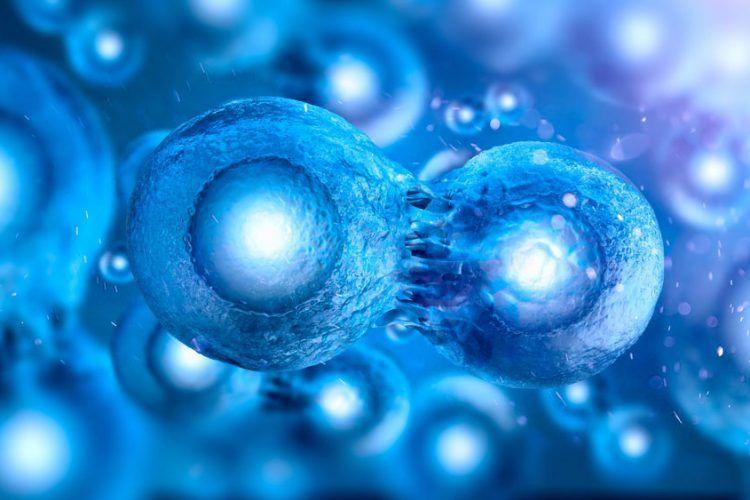 Phương tiện virus hợp thành