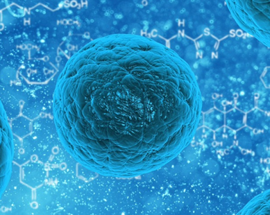 Tế bào gốc mô liên kết (MSCs)