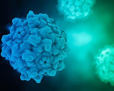 Phương tiện virus Adenovirus