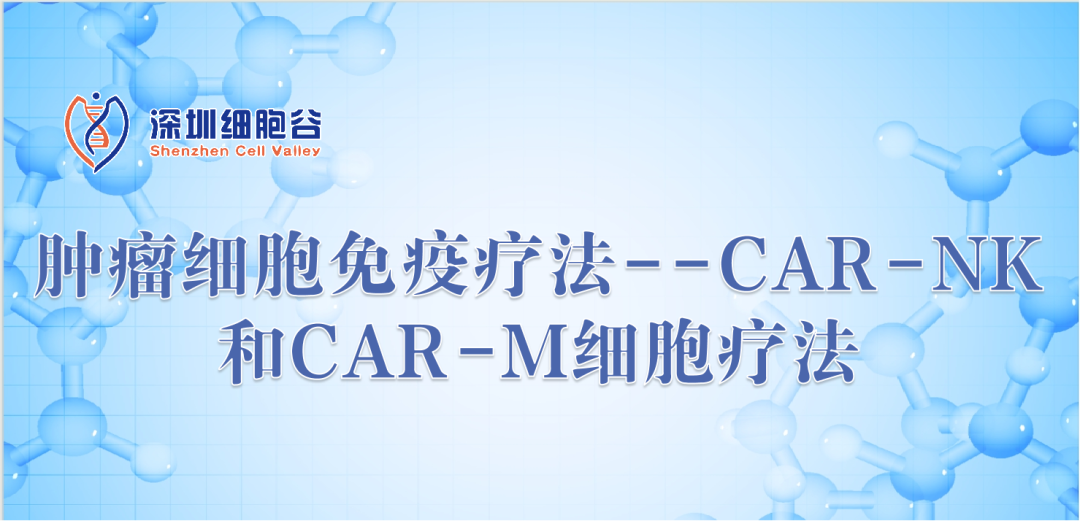 Liệu pháp miễn dịch tế bào khối u – Liệu pháp tế bào CAR-NK và CAR-M