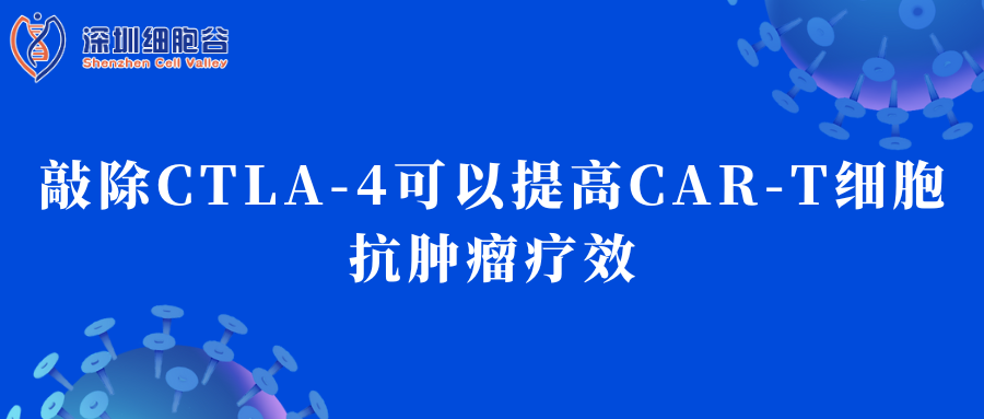 Việc loại bỏ CTLA-4 có thể cải thiện hiệu quả điều trị ung thư của tế bào CAR-T
