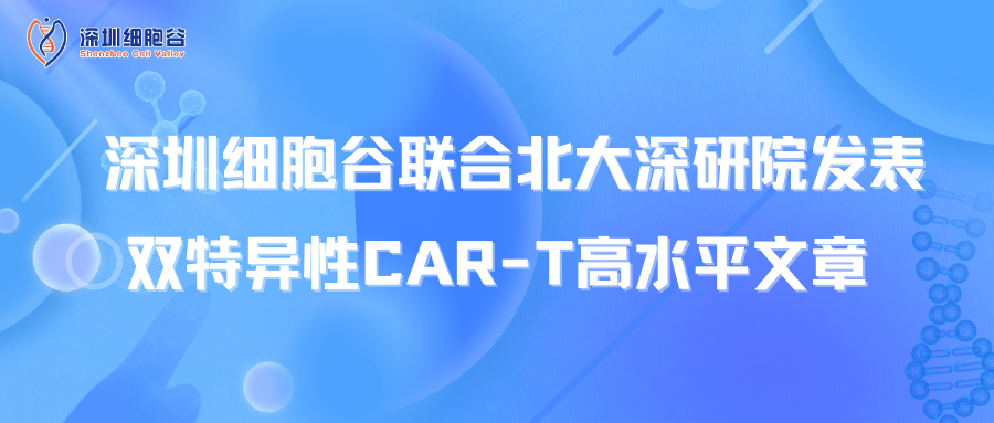 Tin vuiThành Đô Tế bào Vực hợp tác cùng Viện Nghiên cứu Bắc Đại học ở Thâm Quyến công bố bài viết cấp cao về CAR-T hai đặc điểm
