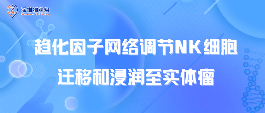 Mạng lưới hóa chất điều hòa di chuyển và xâm nhập của tế bào NK đến khối u rắn