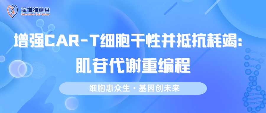 Tăng cường tính chất tế bào gốc của tế bào T CAR và kháng kiệt sức: Tái định hình chuyển hóa inosine