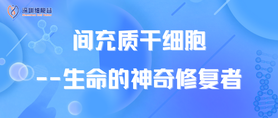 Tế bào gốc mô liên kết - Người sửa chữa kỳ diệu của cuộc sống