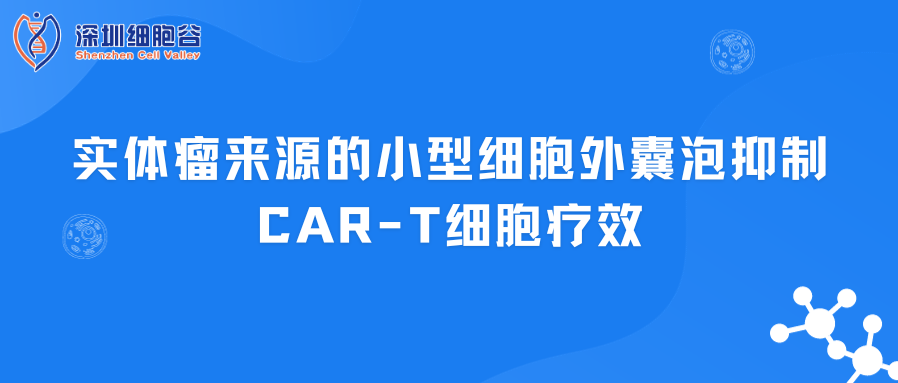 Các hạt ngoài tế bào nhỏ từ khối u cơ thể làm giảm hiệu quả của tế bào T CAR