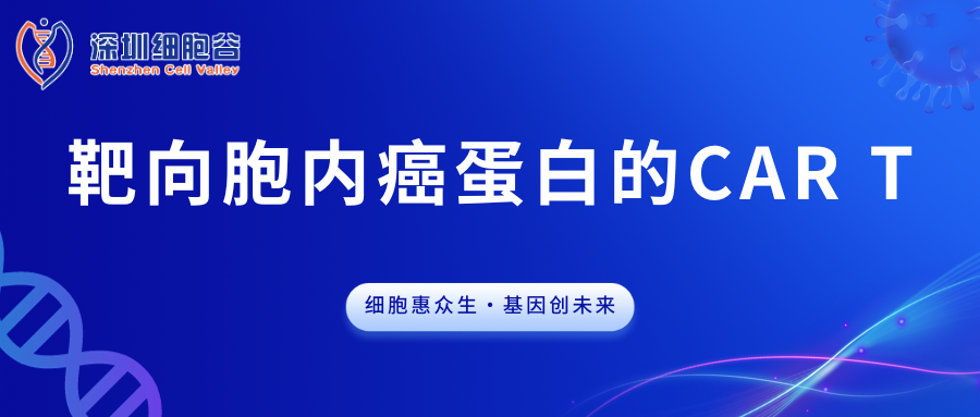 Tế bào T CAR nhắm vào protein ung thư nội bào
